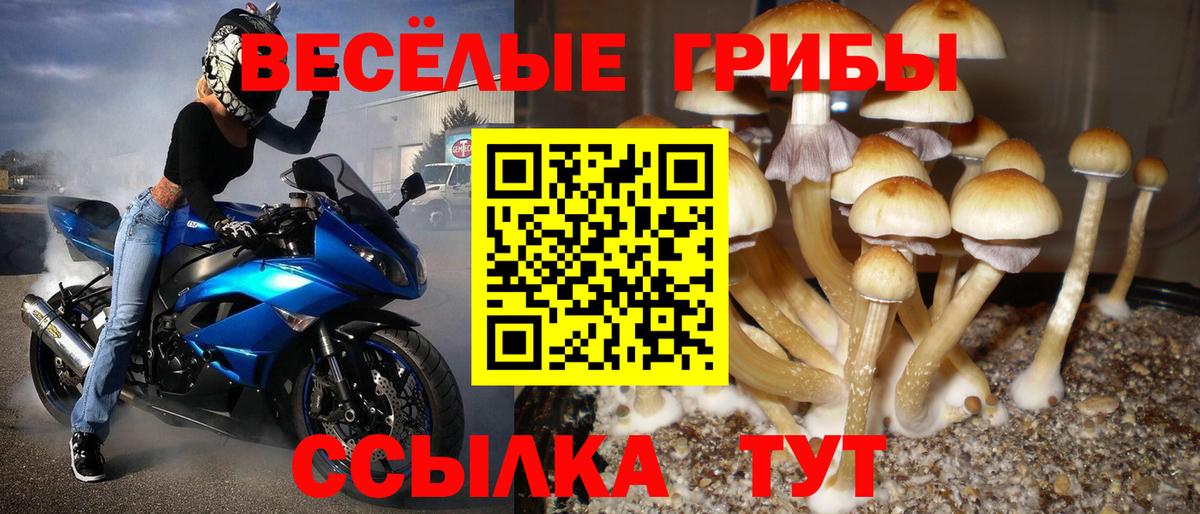 Галлюциногенные грибы прущие грибы Воткинск